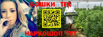 гашик Краснознаменск